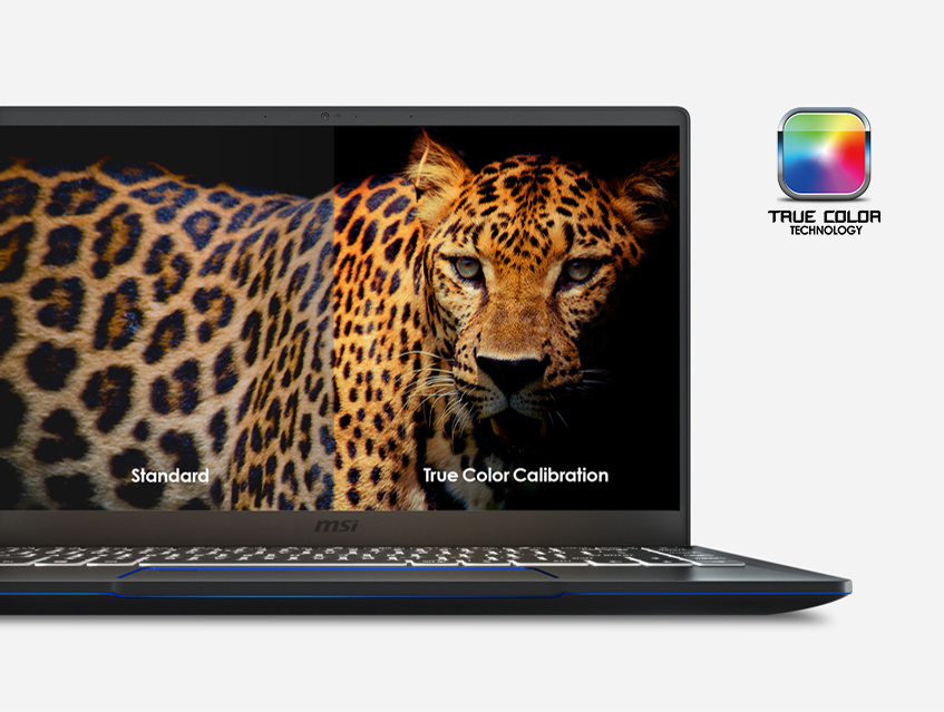 MSI Laptop